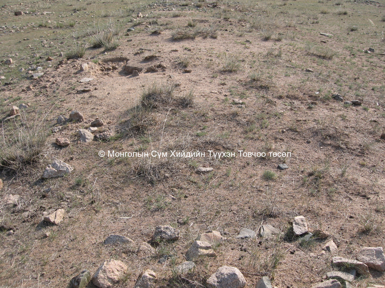 Ламын хийдийн туурь/5/